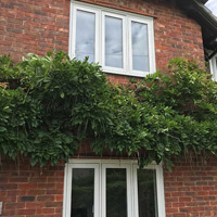 Greenhayes Windows